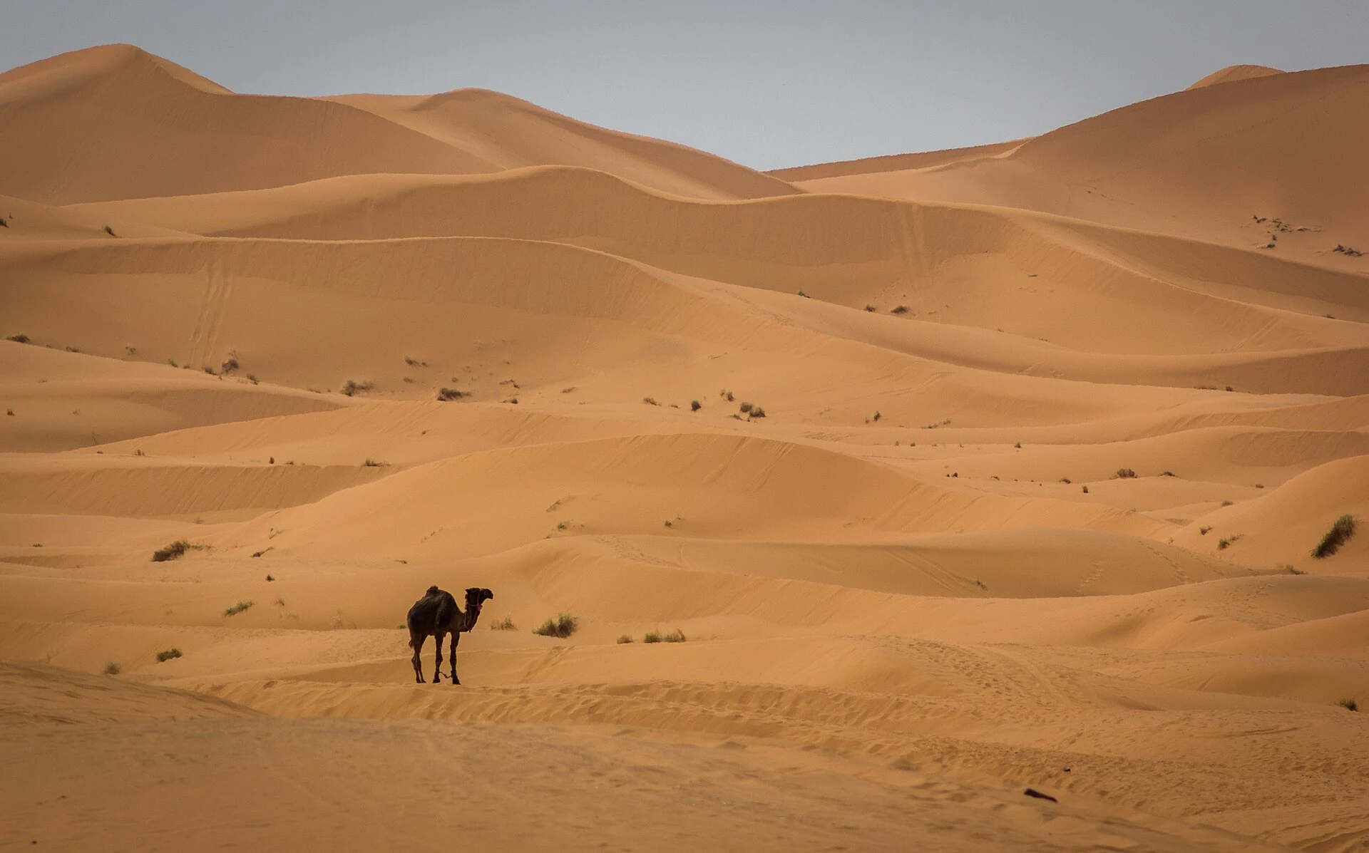 Morocco 10-Day Itinerary — Chefchaouen, Fes, Sahara & Marrakech | Premium 4–5★ Guide — cover